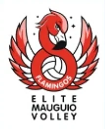Élite Mauguio Volley